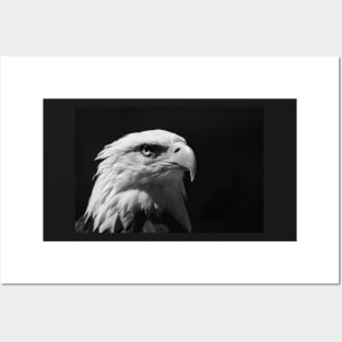 Bald Eagle Strong Posters and Art